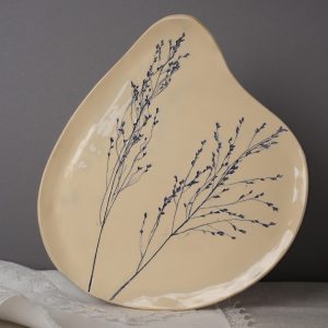 МК «Тарелка Ботаника»